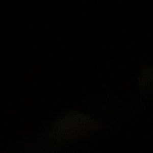 Meet your Posher, Nina